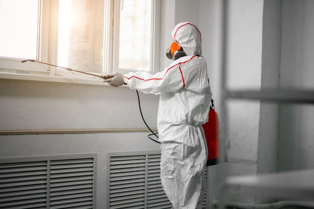 Professional mold remediation services in Kemah, TX